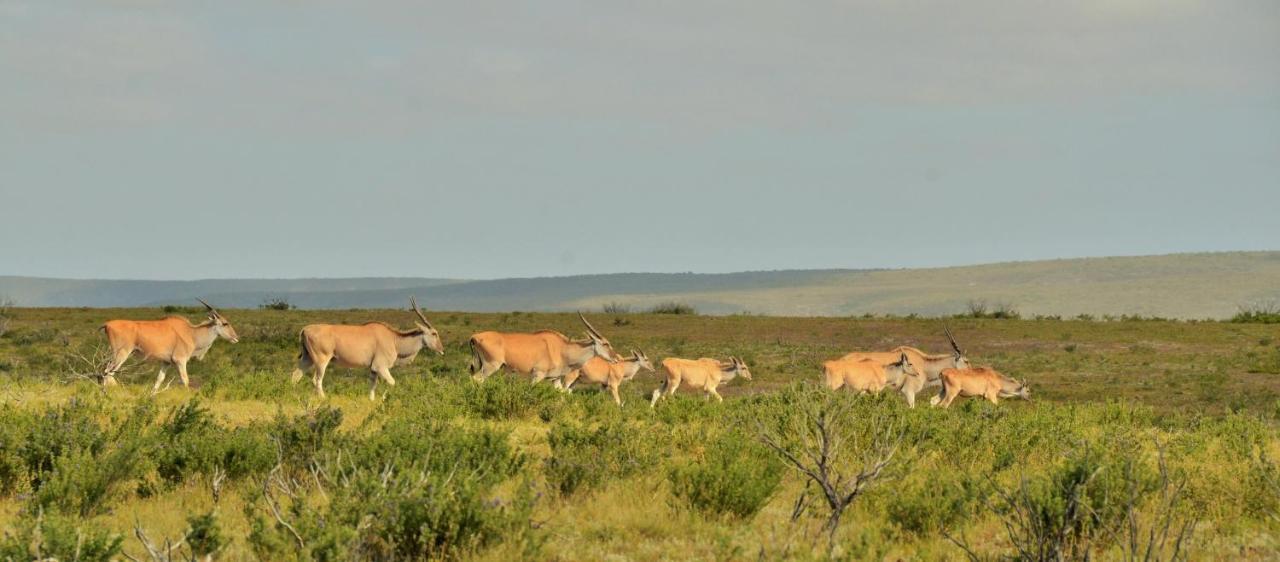 De Hoop Collection - Equipped Cottages De Hoop Nature Reserve Exterior photo
